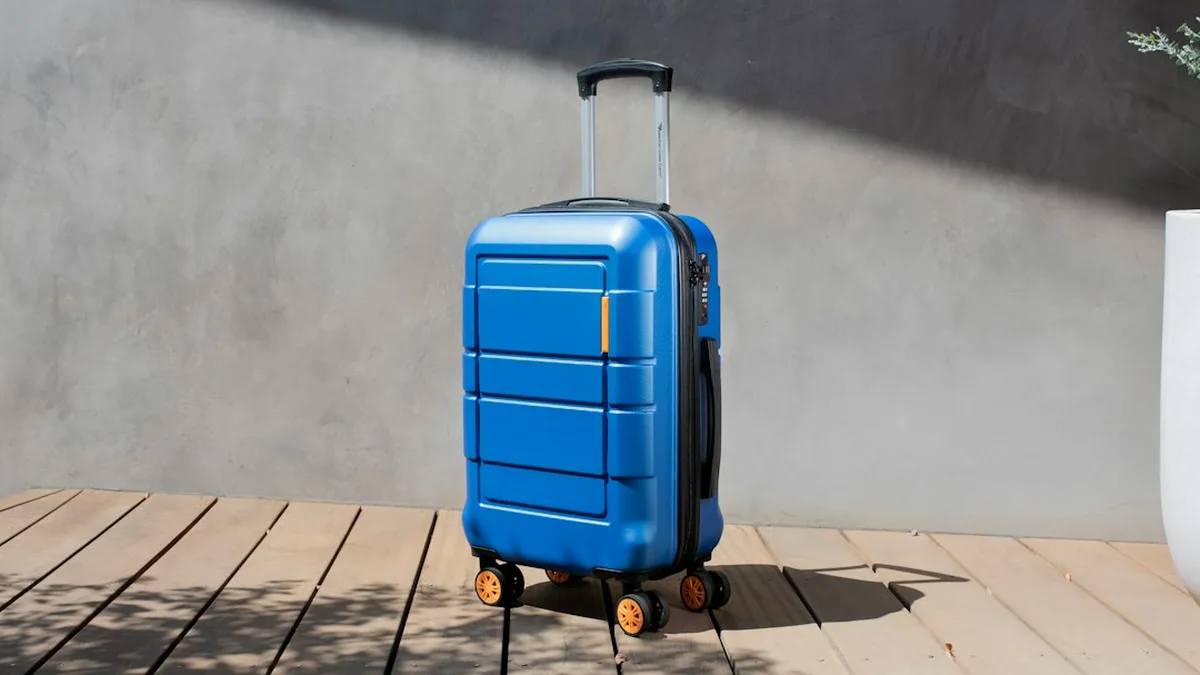Bagages cabines