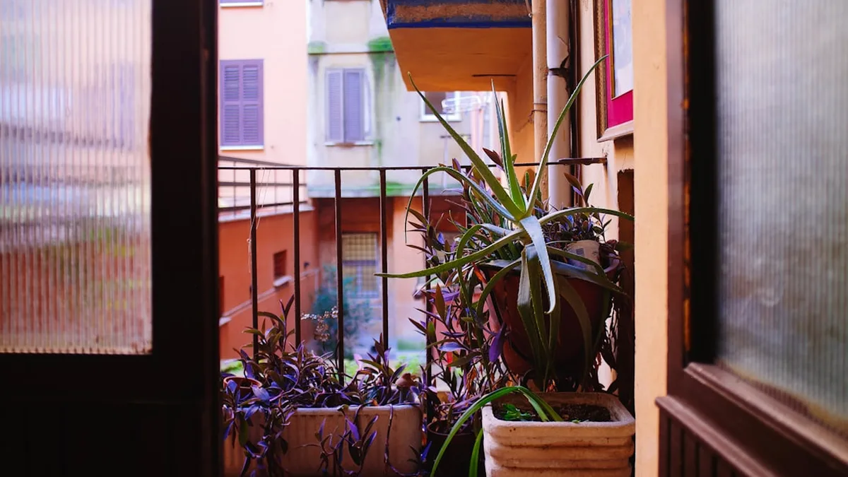 Un balcon fleuri à petit budget, saison après saison