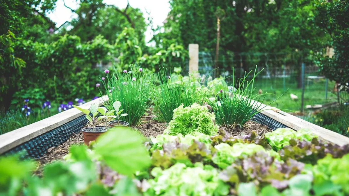 Idée jardin potager